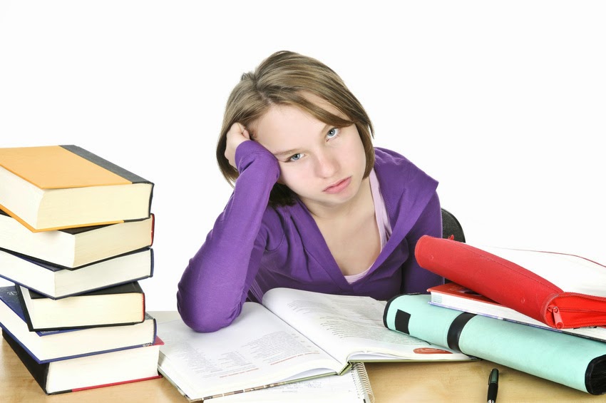 at which stage does an argumentative essay writer